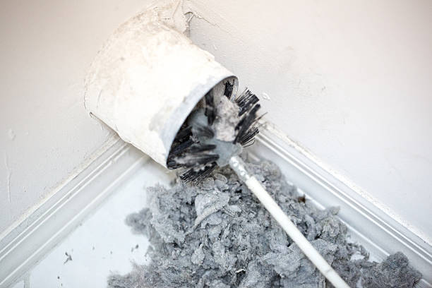 Air Duct Mold Removal in SD